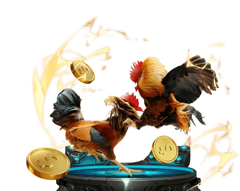 Các lựa chọn cá cược đá gà tại E88